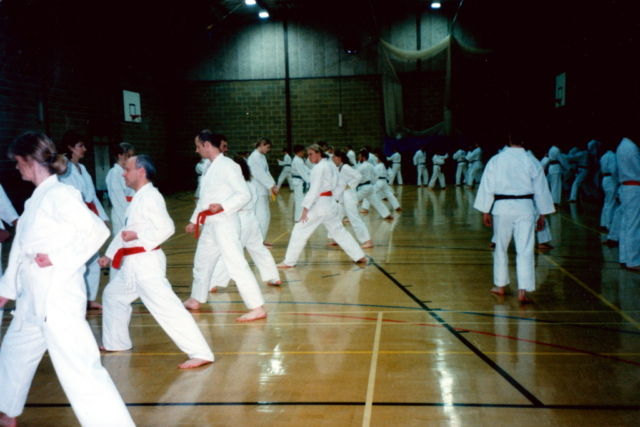 SHOTO North London Karate Classes Kumite Kyu Grades