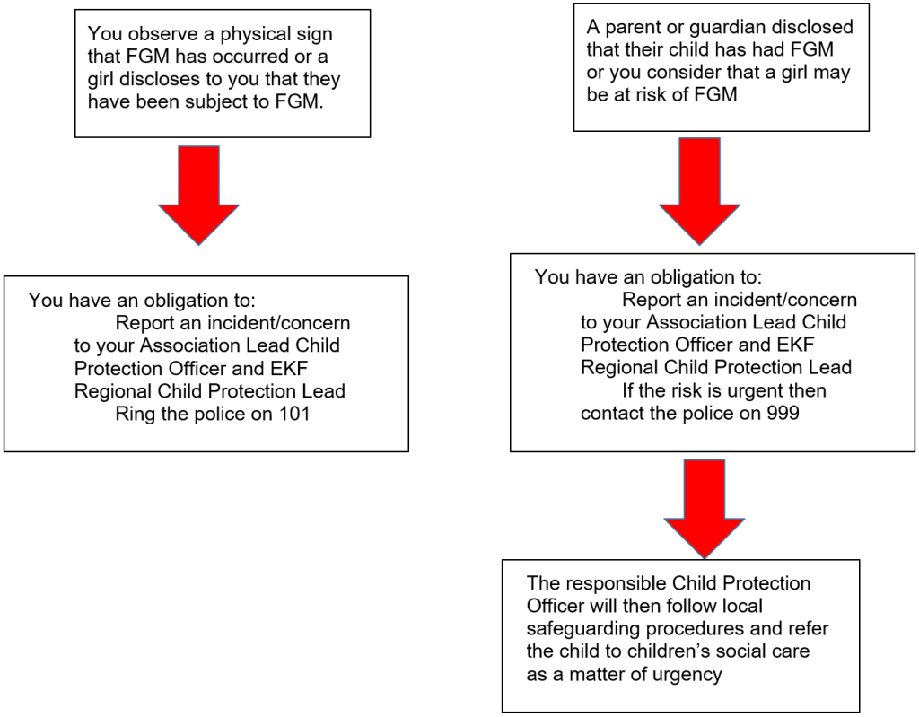 FGM Reporting Flowchart