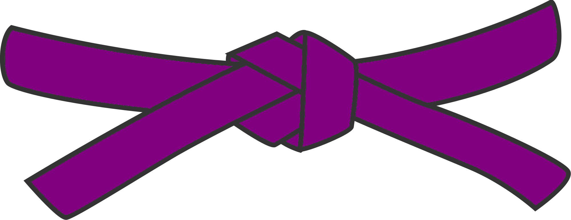 5th Kyu - Purple belt